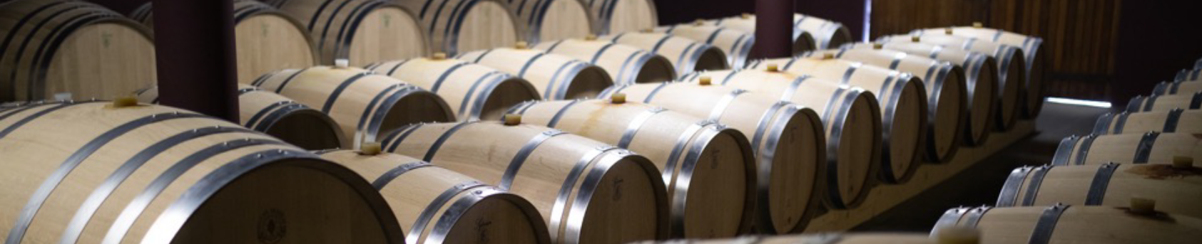 Oak barrels for wine aging